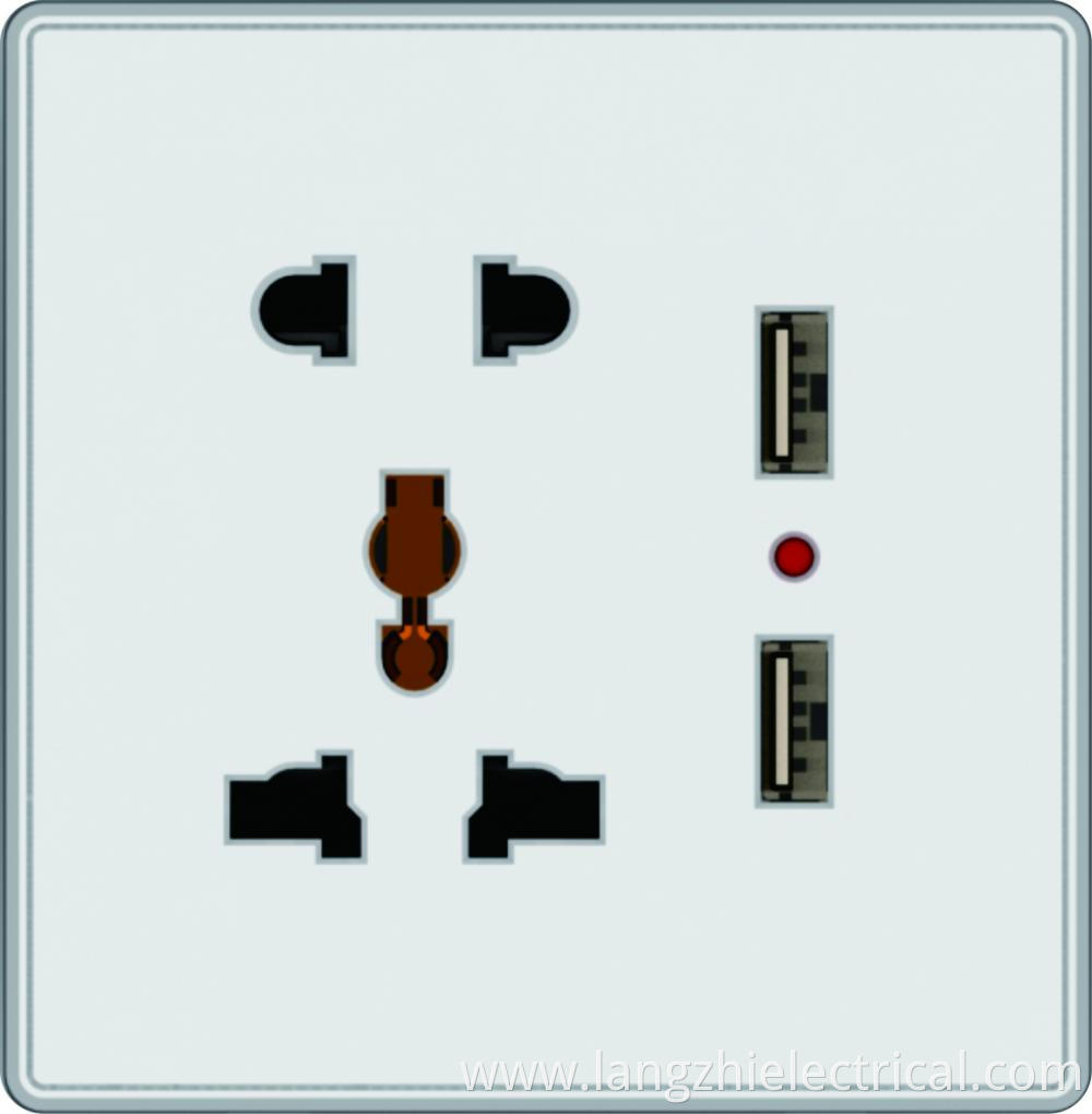 2pin Universal Socket With 2 Gang Usb